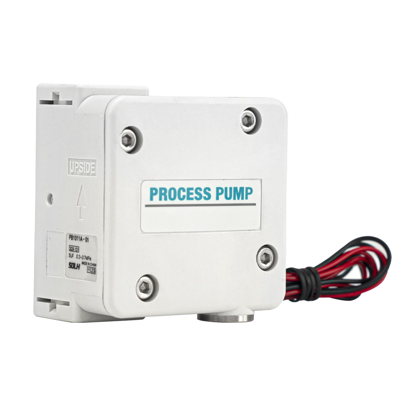 Pompa Proses PB1011